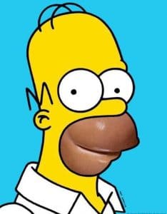 homer-simpson-simp